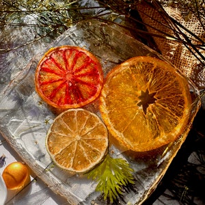 Orange Lime Grapefruit Real Fruit Resin Coaster, Housewarming Decor, Kitchen Decor, Table Accessories