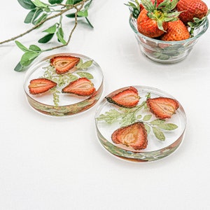 Fruit Home Decor, Epoxy Tabletop Decor, Dried Fruit Gift Set, Garden Party Gifts, Coaster Set for Women, Kitchen Countertop Decor, CST