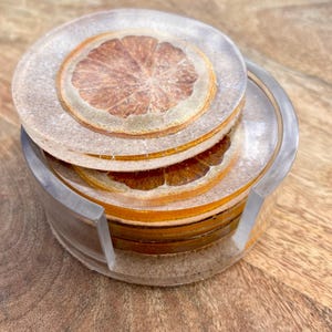 Orange Fruit Resin Coasters (4) and Holder