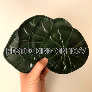 Hand-Painted Lotus Pad Coaster: Nature-Themed Resin Lilypad