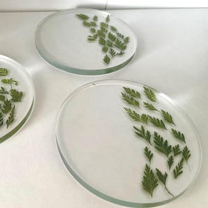 Fern Resin Coaster: Handmade Floral Leaves Drink Coaster